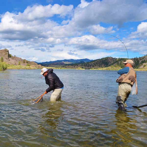 Guided Montana Fly Fishing Trips