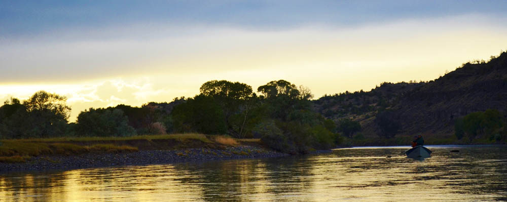 Yellowstone River Fly Fishing, Guided Montana Fly Fishing Trips